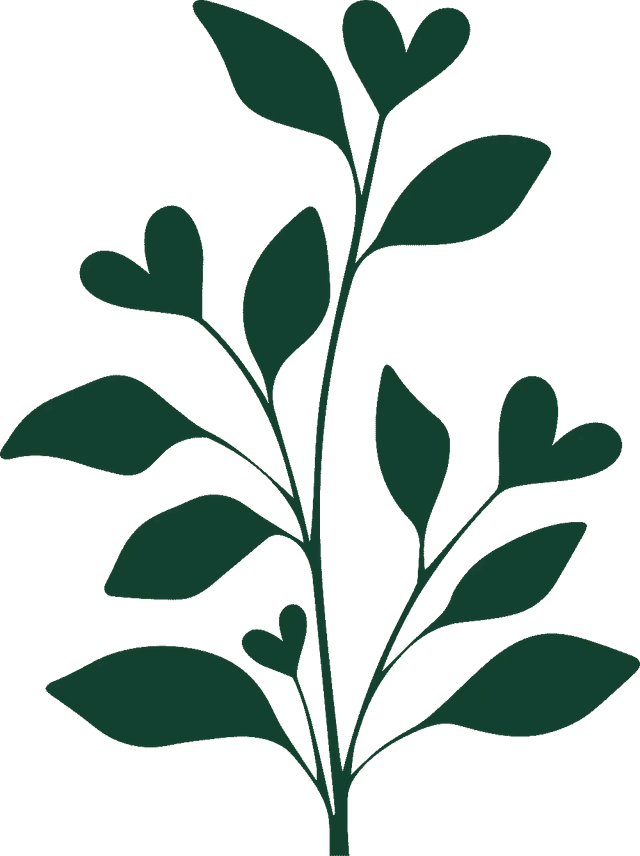 Decorative plant